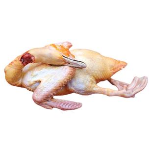 苏北农家正宗散养藤子红脸鸭子 土番鸭土鸭番鸭老鸭 老鸭子