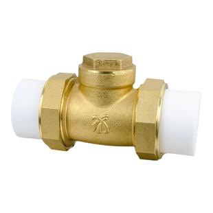 菲文特双热熔活接单向卧式逆止PPR黄铜止回阀自来水管4分6分1寸20