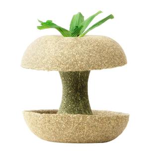 卡诺仓鼠粮食苹果核零食磨牙棒金丝熊营养解闷小玩具造景专用用品