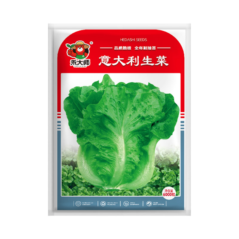 正宗意大利生菜种子青菜蔬菜种籽耐抽苔家庭阳台盆栽四季种植
