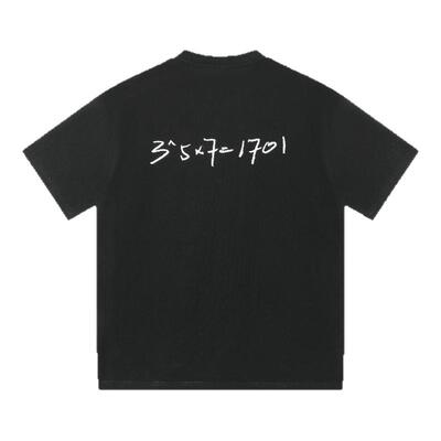 1701公式款原创设计简约男女同款260g科技凉感索罗娜短袖t