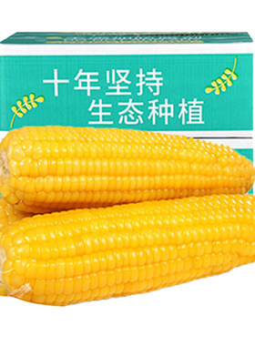 富硒玉米河北常温禾久黄白甜糯