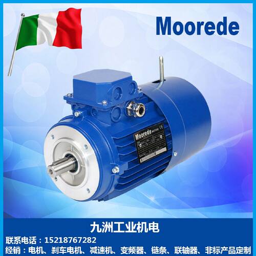 【请询价】意大利Moorede摩尔多直流刹车电机0.180.370