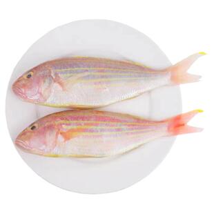 【空运包邮】海南深海红杉鱼新鲜海捕金线鱼冰鲜海鱼一整箱礼盒装