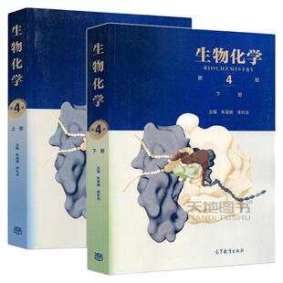 生物化学 第四版第4版 上册+下册 朱圣庚 徐长法 生物化学教程原理考研教材 王镜岩沈同生物化学教程338考研辅导书 高等教育出版社