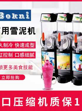 上海科式厂家批发多彩12L商用两缸雪粒机冰沙机双缸饮料机