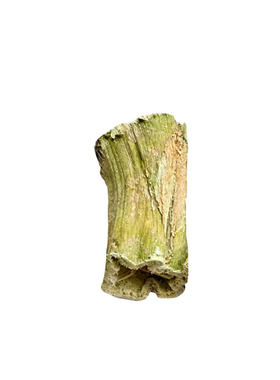 小宠磨牙木瓜墩棒零食玩具