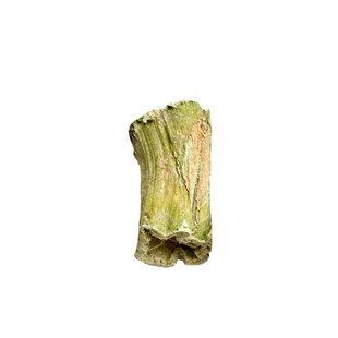 磨牙木瓜墩兔子龙猫荷兰猪磨牙棒零食烘干木瓜树墩树茎木瓜丝玩具