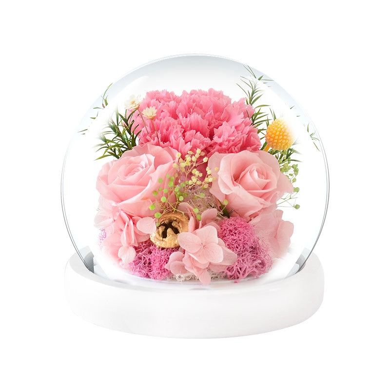 永生花玻璃罩真花康乃馨生日礼物