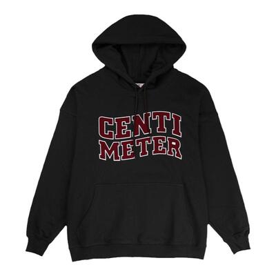 CENTIMETER日系City boy 复古贴布绣连帽卫衣宽松加绒卫衣