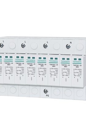天正电气TGDY55I一级电涌保护器