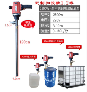 电动电动泵不锈钢抽液泵防腐蚀柴油加油泵220V大功率加油机u.