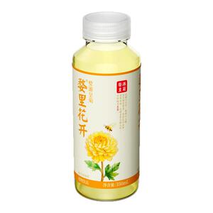 皇菊植物饮料婺源皇菊婺里花开