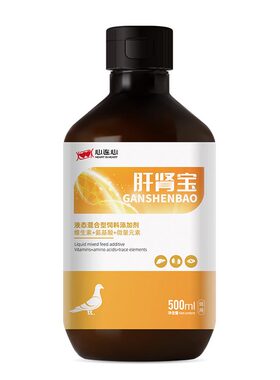 鸽子活体种青年观赏鸽子