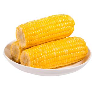 穗康新鲜黄糯玉米220g10支粘玉米糯米棒粗粮