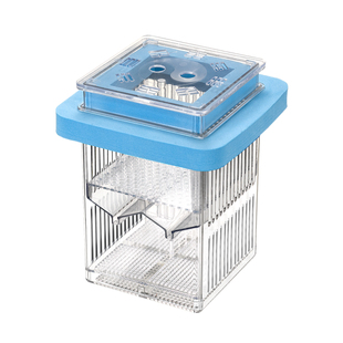 孔雀鱼繁殖盒鱼缸内隔离盒漂浮小鱼苗小型鱼幼鱼母鱼亚克力孵化器