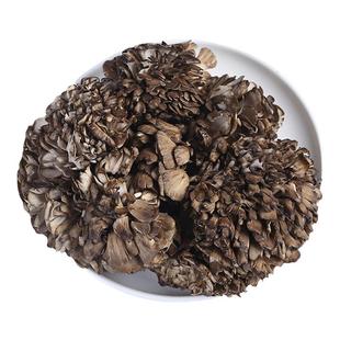 【现货】新鲜舞茸菌450g现摘云南当季灰树菇栗蘑灰树花天妇罗蘑菇