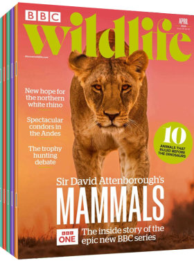 BBCWildlife野生动物杂志