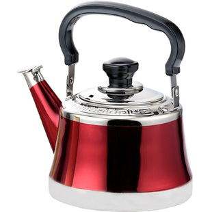 烧水壶德国304不锈钢家用加厚鸣笛煤气燃气电磁炉泡茶小水壶户外