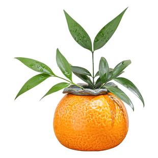 小花瓶陶瓷高级感桌面水培器皿办公室工位水养绿萝简约装饰品摆件