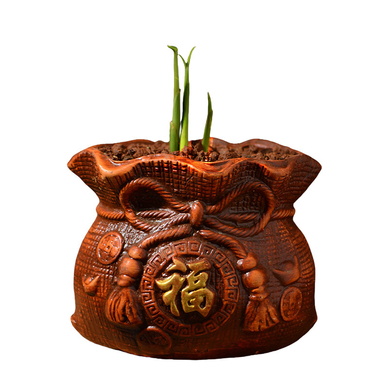 办公室禄根盆栽灵草好养寓意好