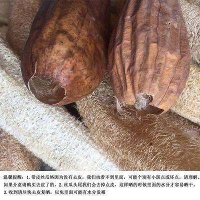 天然丝瓜络洗碗清洁老丝瓜壳刷锅搓澡去皮丝瓜瓤煮水无硫软丝瓜瓤