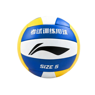 李宁排球中考学生儿童专用比赛训练5号7初中标准款青少年软式硬排