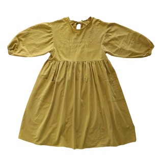 法式围裙罩衣女新款大人长袖厨房家用高级感年轻款纯棉上班工作服