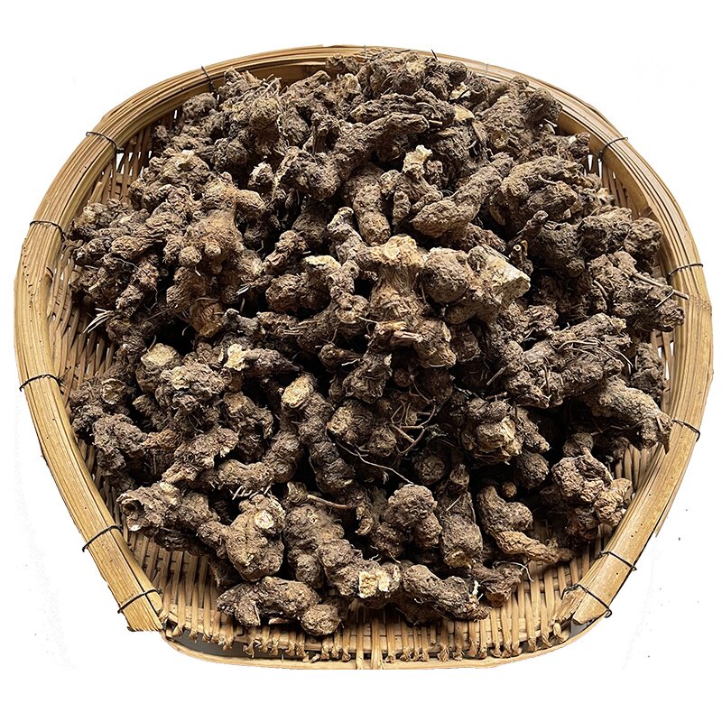 大别山/秦岭纯野生苍术天然晒干