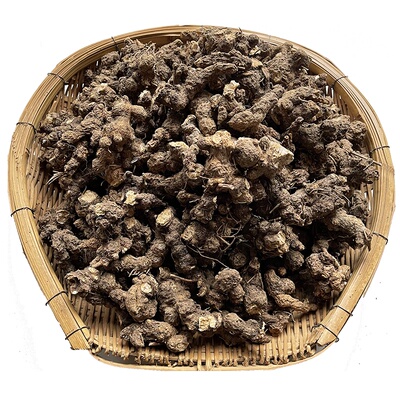 大别山/秦岭纯野生苍术天然晒干