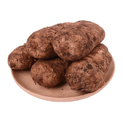 正宗昭通新鲜天麻云南现挖