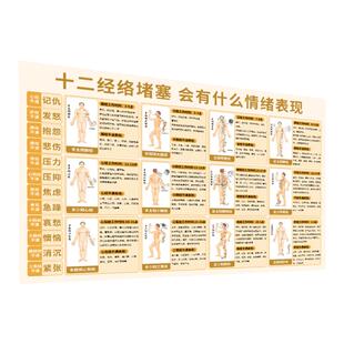 十二经络挂图中医养生海报标准穴位图装饰自粘画艾灸按摩推拿壁纸