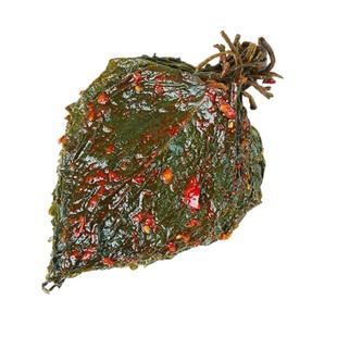 2025新款朝鲜族风味延边韩食府苏子叶香辣解腻韩式拌苏子叶