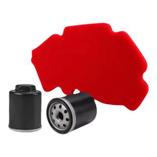 维多利亚sixties 250si 300i龙嘉XDV250Si Vmaxie300滤芯机滤空滤