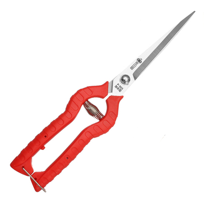 佐川田园艺修剪采果花椒枸杞