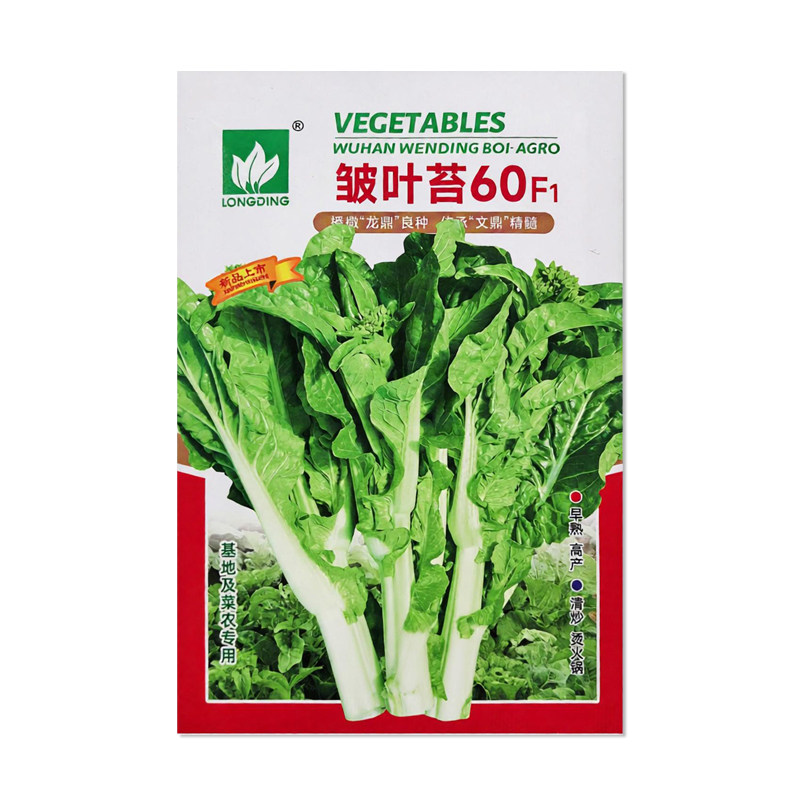 文鼎皱叶苔60白菜苔种子