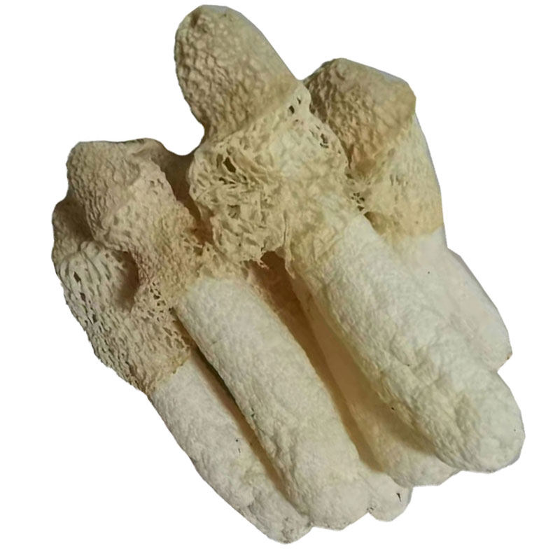 贵州竹荪干货500g断小新货质量口感一样优惠处理乌蒙益人织金竹笙