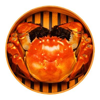 江苏泰州兴化市残蟹红膏大蟹特级残母大闸蟹螃蟹鲜活特大满黄