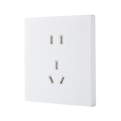 适配AKPRO/X1/AKULtra配套插座 白色/灰色