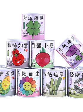 神奇植物办公室绿植小盆栽