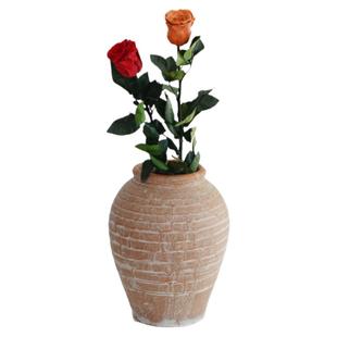 卡布奇诺玫瑰永生花干花花束小王子玻璃罩花材女友情人节礼物真花