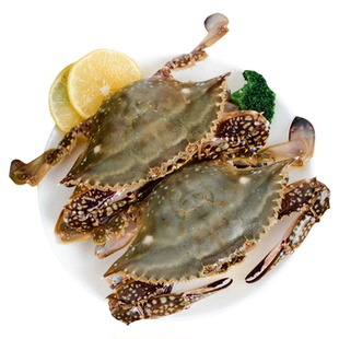 【保鲜不保活】莱州湾梭子蟹飞蟹白蟹野生母蟹二母蟹烟台螃蟹1只