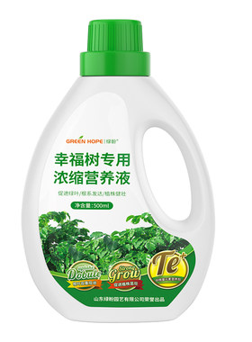 幸福树专用肥料营养液发财树叶子干枯落叶防掉叶急救复合肥花肥