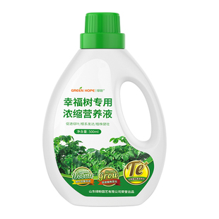 幸福树专用肥料营养液发财树叶子干枯落叶防掉叶急救复合肥花肥