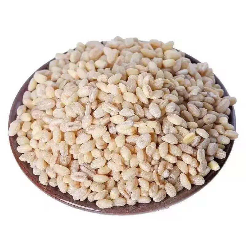 河南当季新麦去皮胚芽麦仁