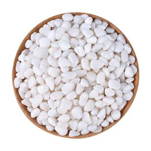 50斤白色石子颗粒天然鹅卵石花园造景阳台小白石头砾石庭院白石子