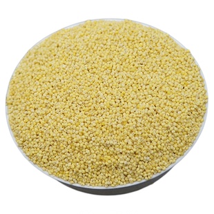 贵州糯小米高山黄小米食用粟米带壳带穗小米种子农家自种袋装包邮