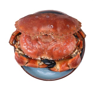 松叶蟹生冻冰鲜速冻俄罗斯进口长脚蟹帝王蟹鳕蟹超4只大板蟹海鲜