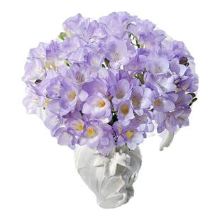 【顺丰包邮】香雪兰鲜花云南基地直发小苍兰家用插花水养鲜切花