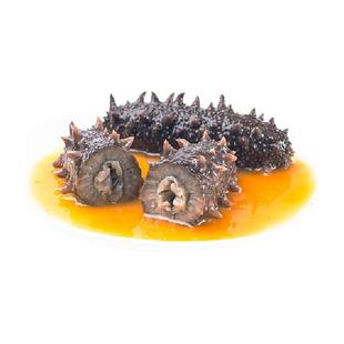 正宗精选高品质S新鲜食海参即食Q弹滋补营养孕妇非辽刺参干参礼盒